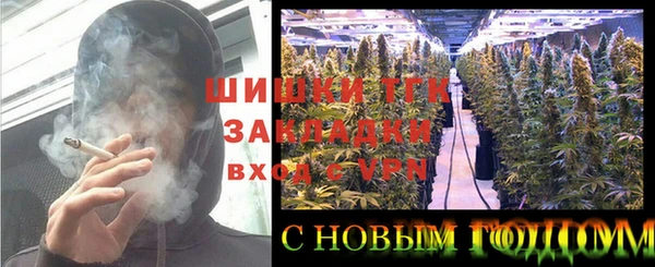 бошки Надым