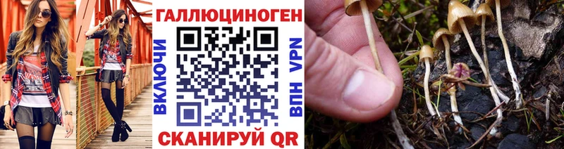 Галлюциногенные грибы ЛСД  где купить наркотик  darknet клад  Удомля 